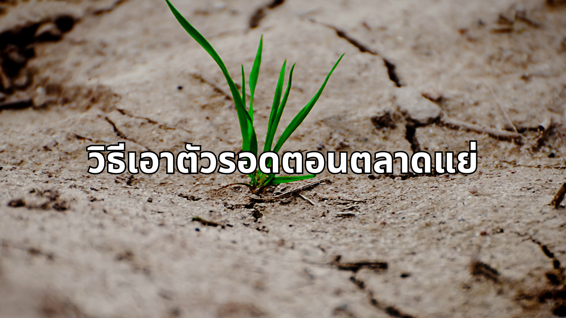 #26 วิธีเอาตัวรอดตอนตลาดแย่